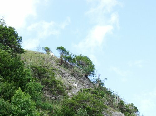 Burrington Combe