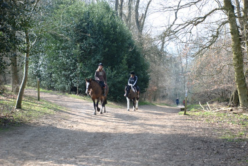 Horse Riders on Ashridge, Aldbury, Hertfordshire, England, Great Britain
