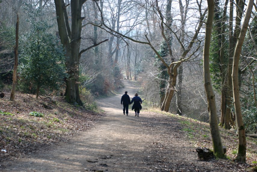 Walkers on Ashridge, Aldbury, Hertfordshire, England, Great Britain