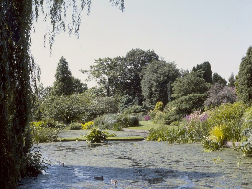 Beth Chatto's Garden, Elmstead Market, Colchester, Essex, England