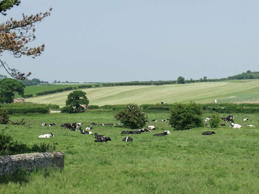 The view from the Ruins, Binham Priory, Binham, Norfolk, England, Great Britain