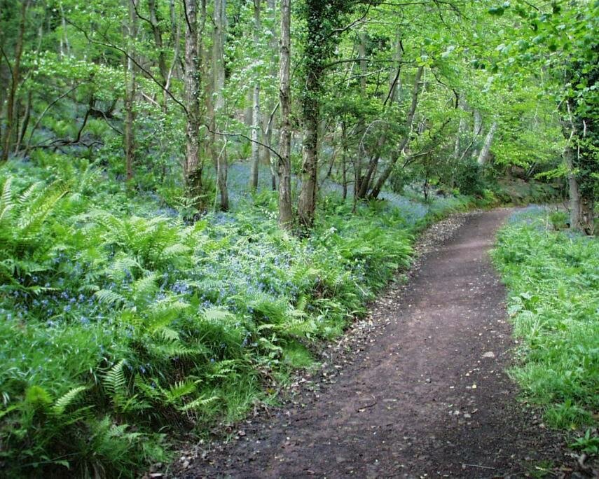 View of a Public Footpath
