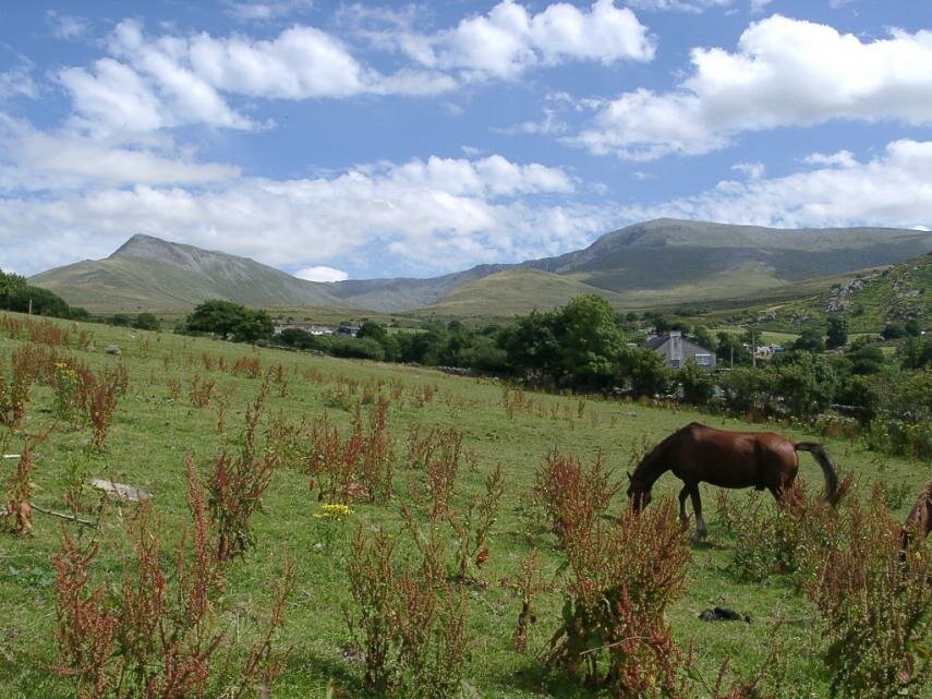 Scene showing the Carneddau, Gwynedd, North Wales, Great Britain
