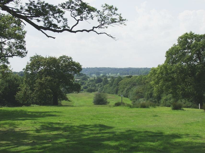 View across to Chingford Plain and Bury Wood, Epping Forest, Essex, England, Great Britain