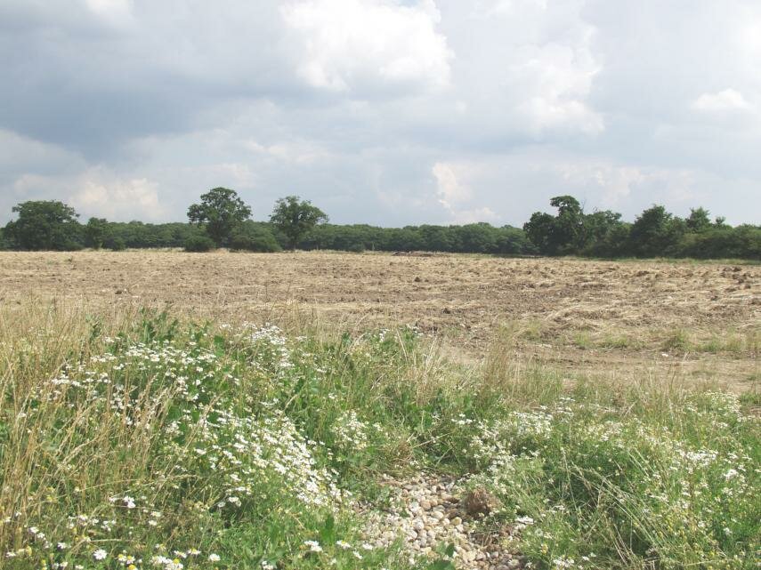 Photograph of a footpath 2