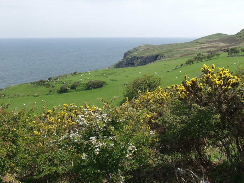 Great Orme Landscape, Llandudno, Caernarfonshire, Wales, Great Britain
