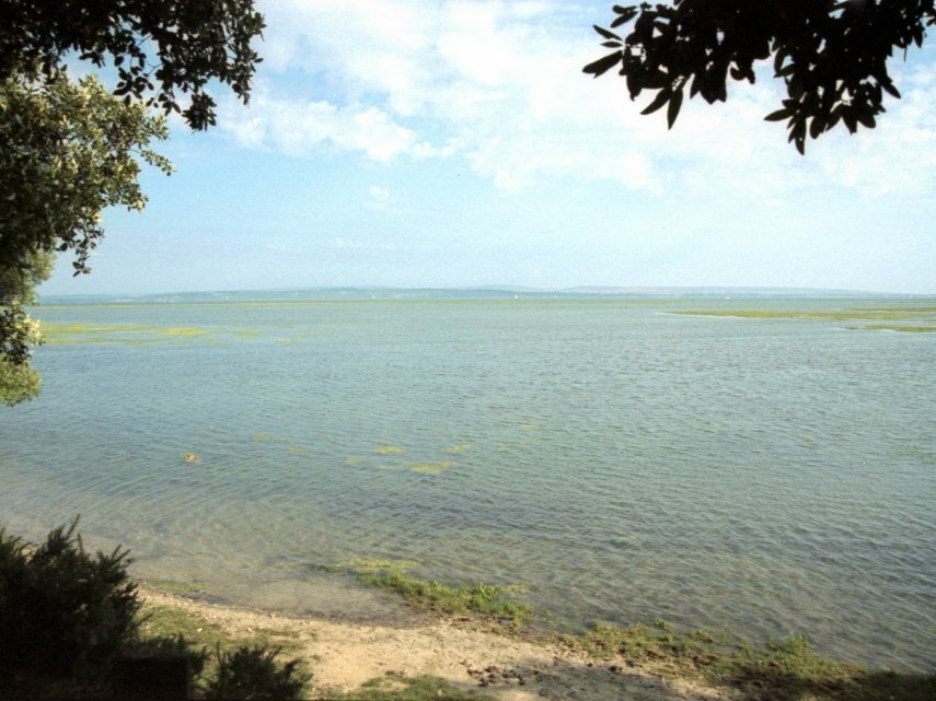 The Salt Marshes at high tide, New Forest, Hampshire, England, Great Britain