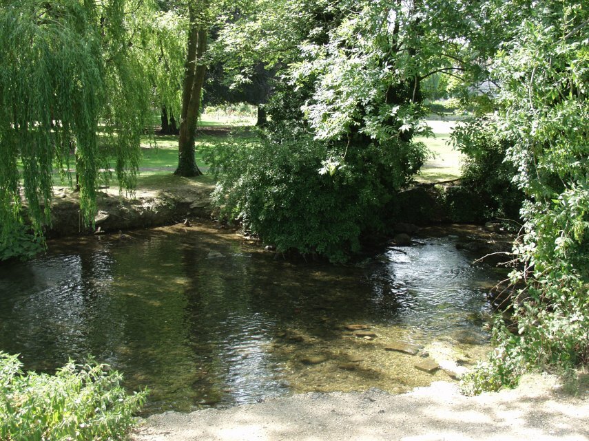 Picture of the River Kennet, Marlborough, Wiltshire, England