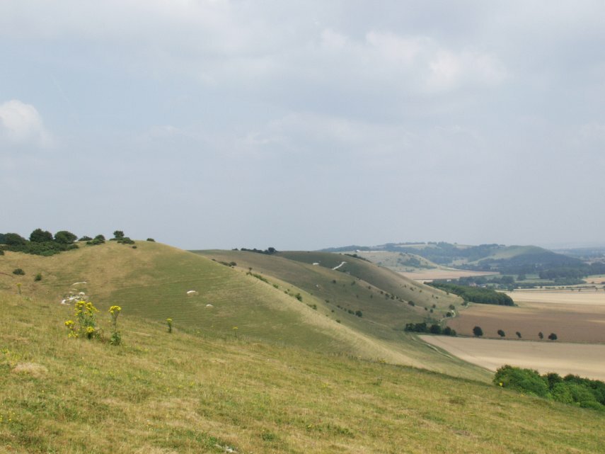 Photograph of Pewsey Downs from Knap Hill, Wiltshire, England - Landscapes