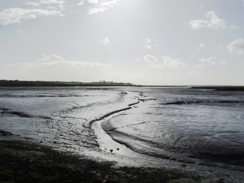 The Essex Marshes at Mersea Island, Essex, England, Great Britain