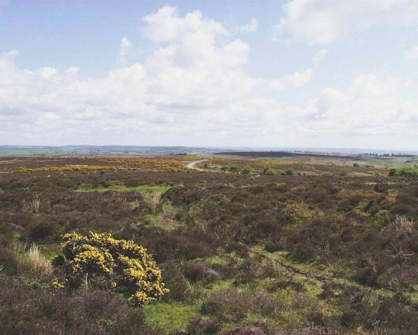 Exmoor, Somerset, England