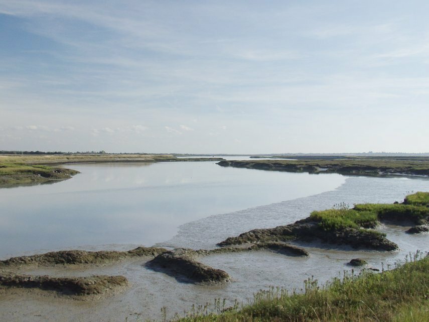 The Essex Marshes at Salcott, Essex, England, Great Britain