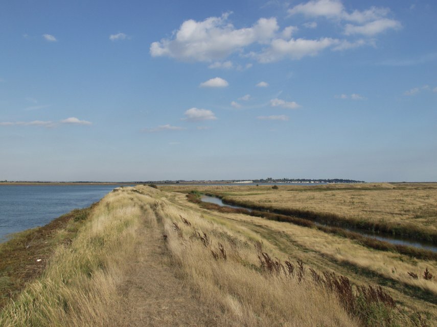 The Essex Marshes, Salcott, Essex, England