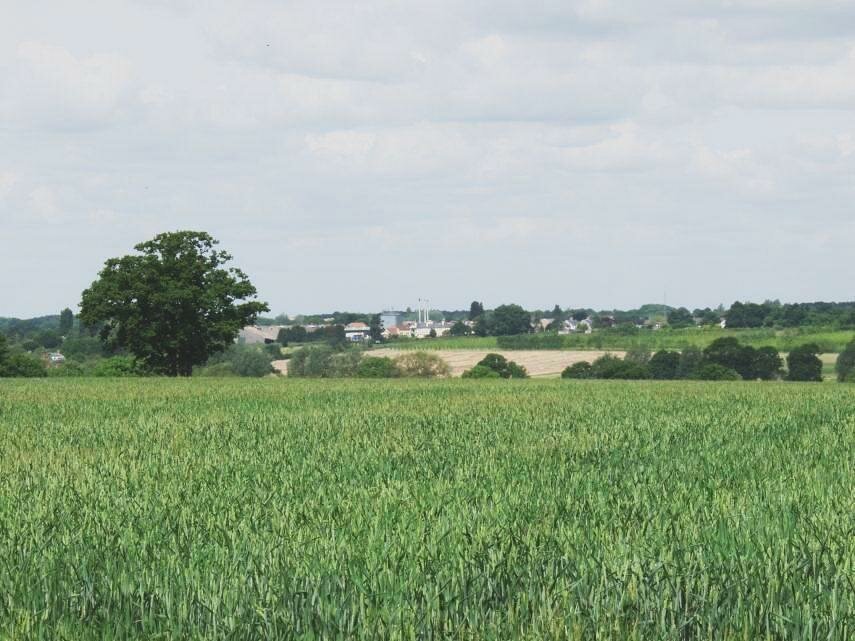 Tiptree seen across the fields from Tolleshunt Knights, Essex, England