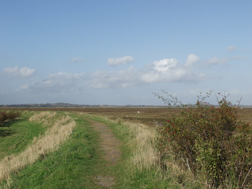 The Essex Marshes, Tollesbury, Essex, England, Great Britain