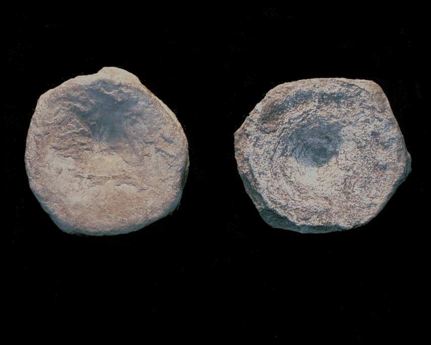 Photograph of Ichthyosaur Vertebrae, Robin Hood's Bay, North Yorkshire, England