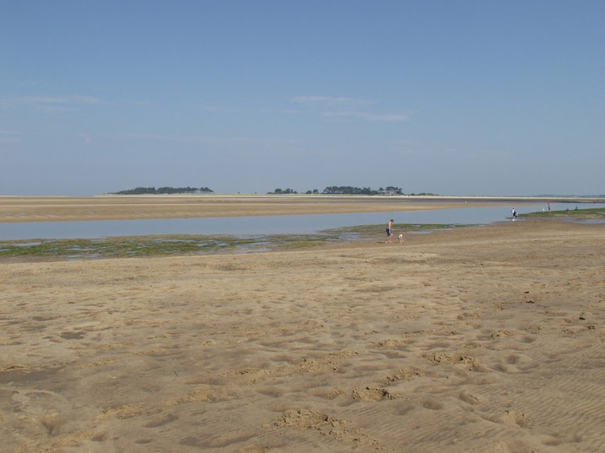 Scene of the beach, Wells-next-the-Sea, Norfolk, England