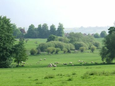 Countryside around Chipping Campden, Gloucestershire, England