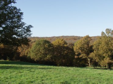 View from Baldwins Hill, Epping Forest, Loughton, Essex, England