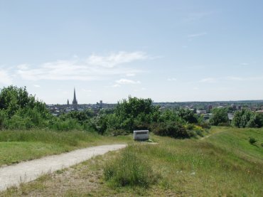 Mousehold Heath